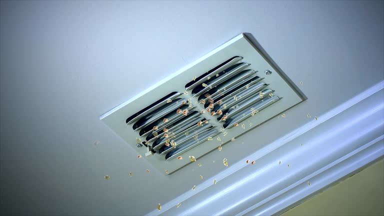 Best Emergency Air Duct Cleaning  in Pulaski, TN